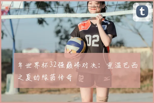 年世界杯32强巅峰对决：重温巴西之夏的绿茵传奇