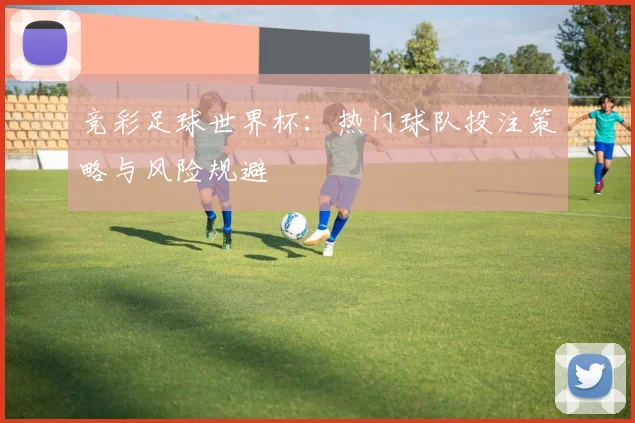 竞彩足球世界杯:热门球队投注策略与风险规避