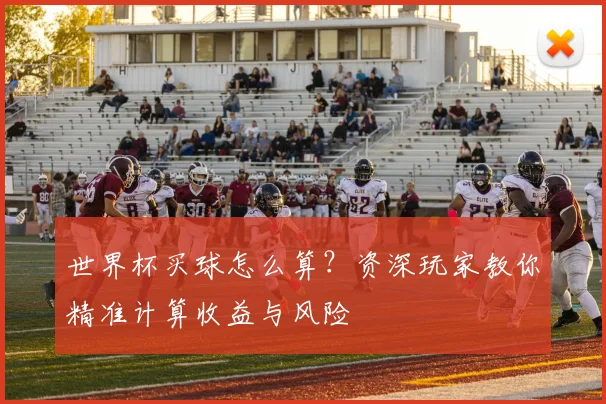 世界杯买球怎么算？资深玩家教你精准计算收益与风险