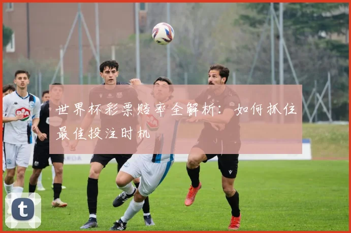 世界杯彩票赔率全解析：如何抓住最佳投注时机