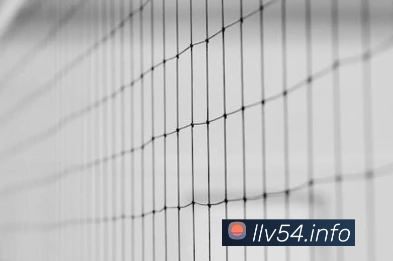 九游体育在线登录入口品牌故事